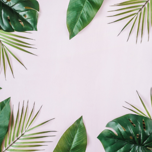 Jungle